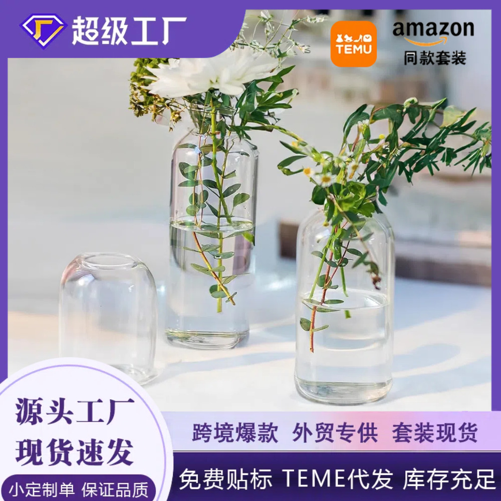 Amazonas alto borosilicato de vidrio pequeño jarrón decorativo para el hogar recto creativo jarrón de vidrio artesanal de alta calidad