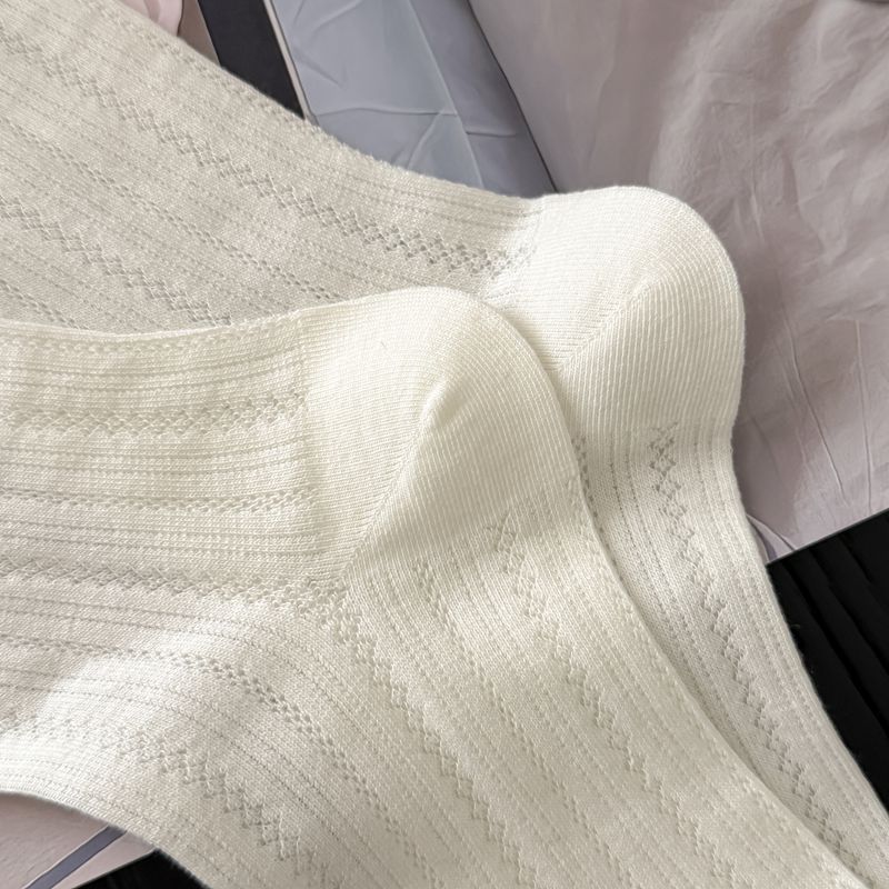 2026-01-19 165711.jpg