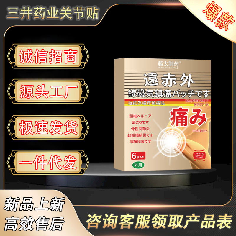 三井製薬 関節石貼り 6枚入り/箱 工場直送 即納 卸売 一件代発|undefined