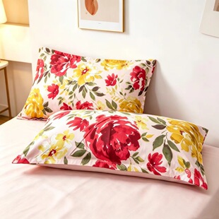 �������^�����l��ֻ48X74���ÌW���T������͸���ʯ�q��Ƥ��2�H�w
