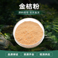 金桔粉 淡橘黄色 易溶于水 金桔清香 干燥避光储存 现货批发