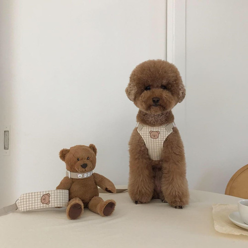 INS Korean Cute Bear Series Chest and Back Pet Teddy Bichon Outdoor Chest and Back Strap Leash