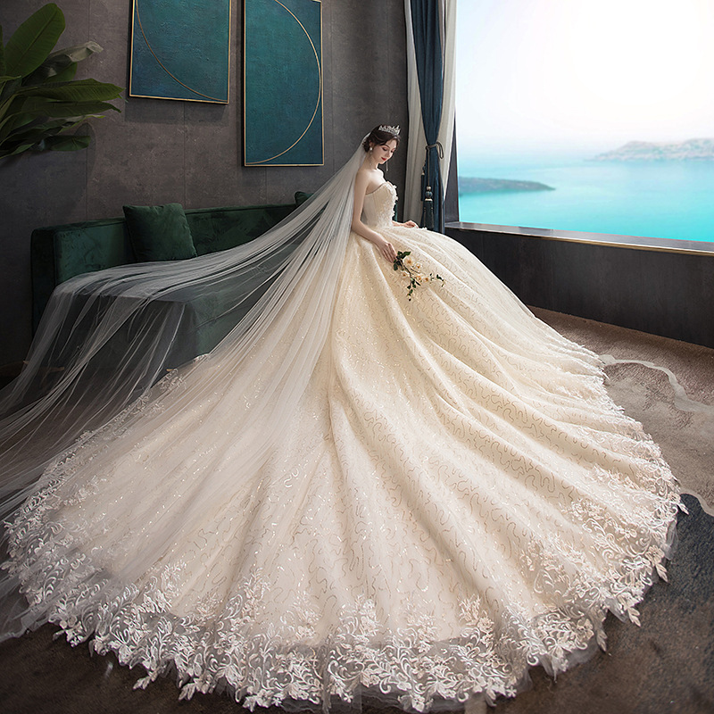 Wholesale Trailing Main Wedding Dress 2025 New Bridal Long Trailing Wedding Dress Strapless Simple Starry Sky Dream Manufacturer