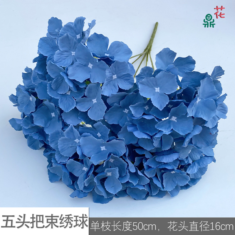 Five -headed hosem LS dark blue
