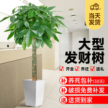 �lؔ��������ԾGֲ�͏d�҃��k������ؔ���辰����ȩ���w�_�I�ͶY