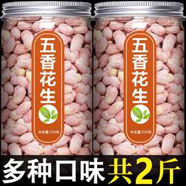 花生米五香蒜香炒熟的2024年山东罐装新下酒菜旗舰店商用