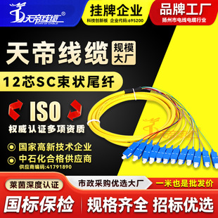 Factory direct Tiandi SC12 core single-mode fiber bundle jumper pigtail telecom-grade square head 10 trillion network fusion