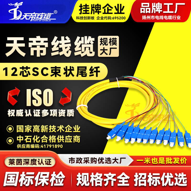 Factory direct Tiandi SC12 core single-mode fiber bundle jumper pigtail telecom-grade square head 10 trillion network fusion
