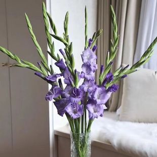 ���m�r�������������ֱ�l��ͥˮ�B�r�л���c�k���Ҳ廨���նY��