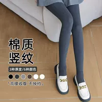 2026初秋加绒保暖打底袜推荐|防勾丝不掉档,学生党&上班族必备