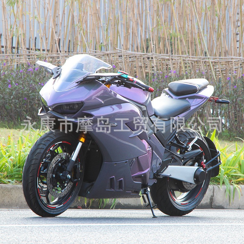 카멜레온 [원래 공장 표준 + 배터리는 포함되어 있지 않음]