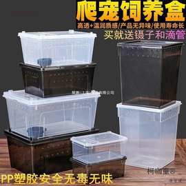 人渣盒爬虫箱螳螂跳蛛养蚕饲养盒爬行动物睫角寄居蟹饲养箱麦太保