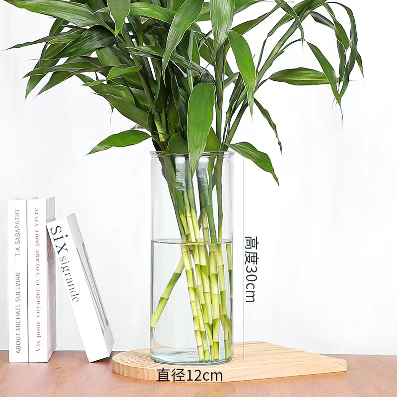 INS estilo florero de vidrio simple arreglo de flores transparente flor hidropónica planta verde florero sala de estar mesa de comedor Decoración