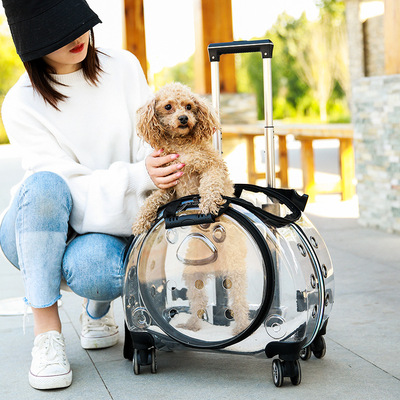 新款宠物拉杆箱外出便携透明猫包多功能宠物背包宠物航空箱泡泡箱