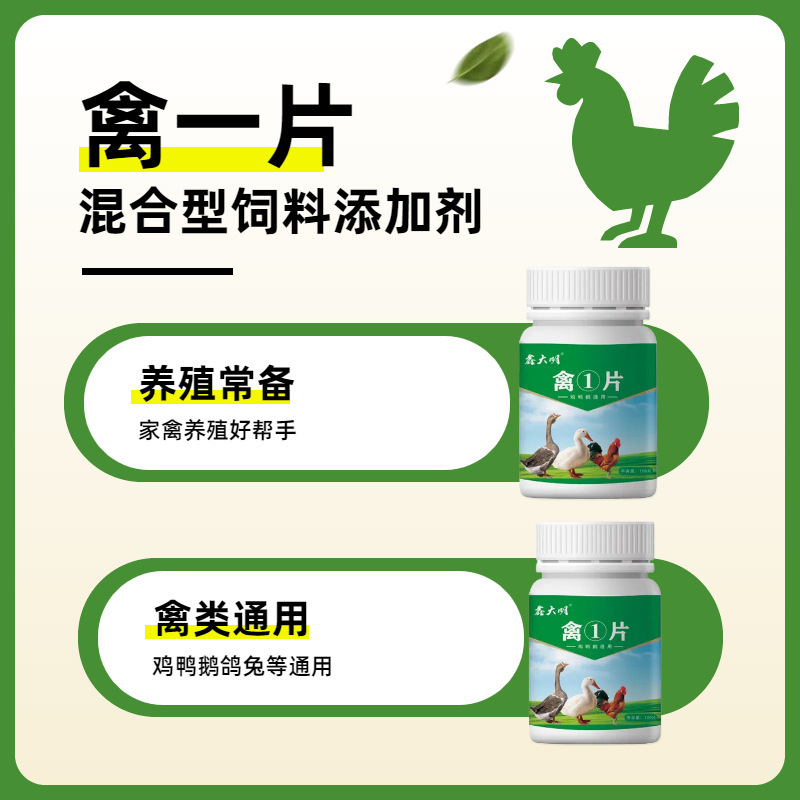 家禽① 家庭用腸の健康、呼吸器の健康、養鶏場での一般飼育、鶏、アヒル、ガチョウ、家禽製品|undefined
