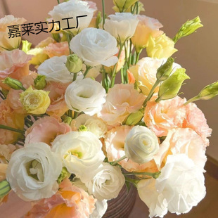 �����������ֱ�l���r��۹���đ���滨��������l�҃�ˮ�B�r��