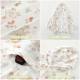 Baby Sunscreen Clothes Summer Thin Breathable Air-conditioning Shirt Baby Summer Outfit Coat Men's and Women's Children's Skin Clothes