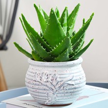 �J�C�����҃ȳ���ȩ�����՚�Gֲ���k���������ļ����B����������