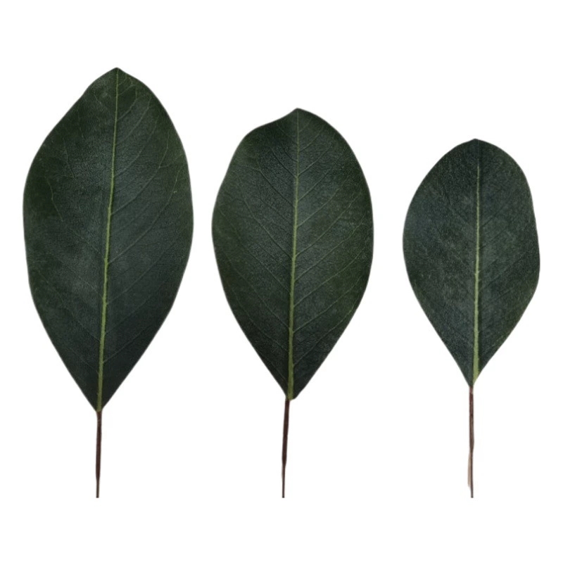 Искусственные листья с фабрики, кленовые листья, дубовые листья, листья магнолии, виноградные листья, аксессуары из ротанга, украшение ручной работы своими руками