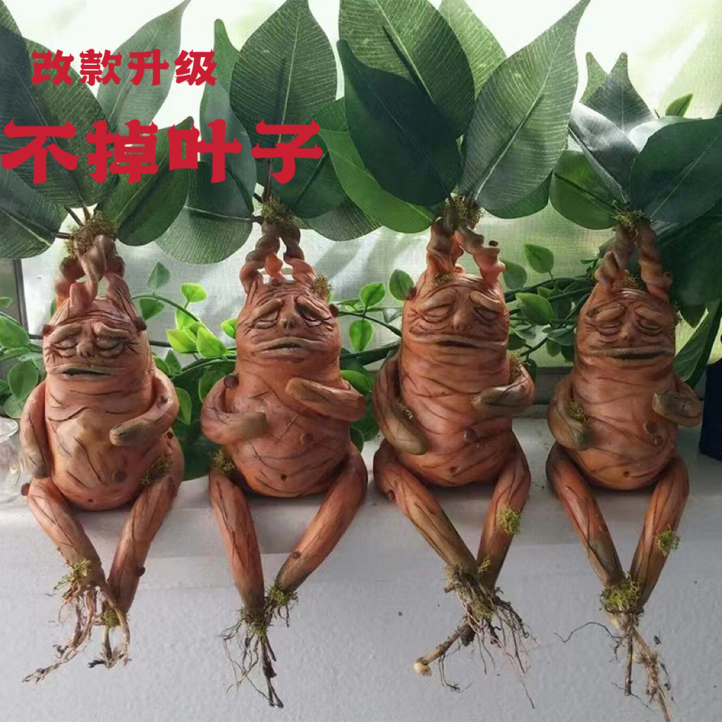 국경 간 새로운 만델라 수지 장식 맨드레이크 홈 장식 만델라 공장 재고 직접 공급