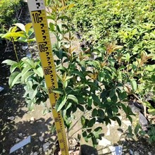 ���l�𻨘� ���� �޽��� ��ɰ�� Ҏ���Rȫ ��� �ļ���