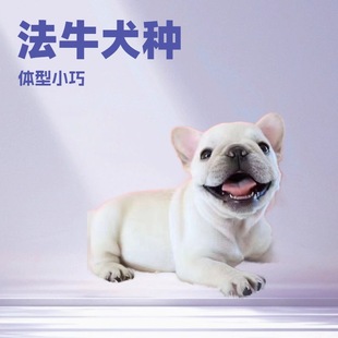 ���N��ţС��Ȯ���w�����������̶�ë���pȮ��HȮ��Ȯ����Ȯ����