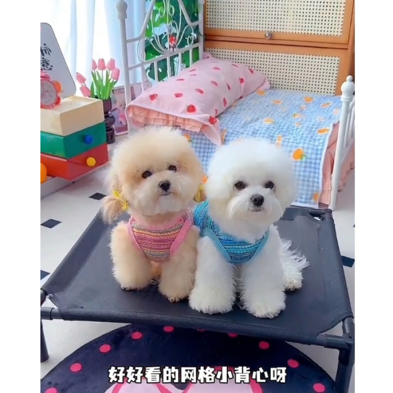 Ropa de perros de mascotas de verano delgada con hebilla de tracción arco iris trenzado chaleco agujero Teddy Bear Boomerang ropa