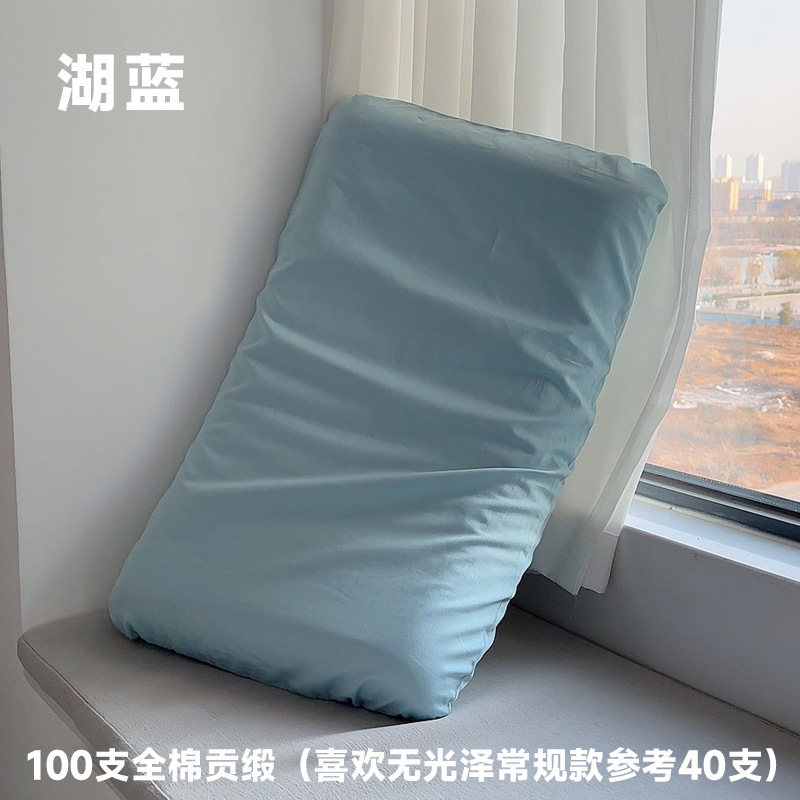 100棉亜星球深睡眠記憶枕pro枕カバー70x42x10シングル家庭用純綿枕カバー輪|undefined