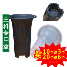 �m�Ӻ��m�������ό�����͸�������׿ظ���}�����m�@�������