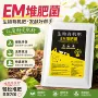 分类发酵厨余垃圾发酵剂