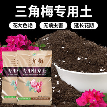 ����÷�I�B���^�p���N��ľ�����������������Nֲ��������