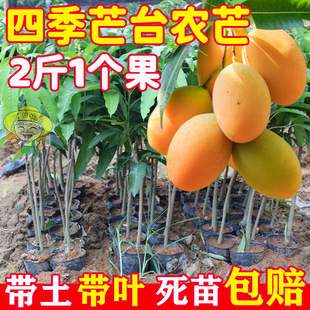 ̨�râ������â���ļ�â���t�F��â���޽ӹ�����â���箔��Y��
