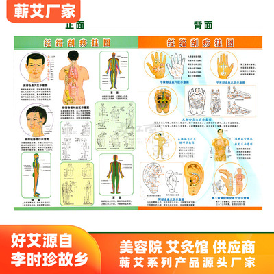 經絡刮痧挂圖 雙面彩色人體穴位圖 刮痧圖 美容院艾灸館批發
