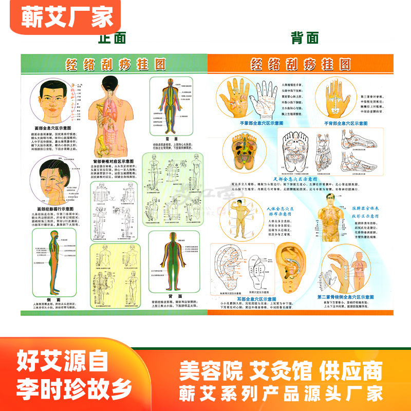 經絡刮痧挂圖 雙面彩色人體穴位圖 刮痧圖 美容院艾灸館批發