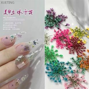 Dried Flower Nail Art Accessories, Colorful Mixed Floral Lace Small Floral Nail Decorations, Wearable Nail Material Kit Supplies