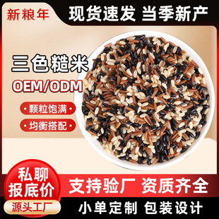 ��ɫ������؛���b��֬������͠I�B��t�׺��׽M�ϴּZ�������l