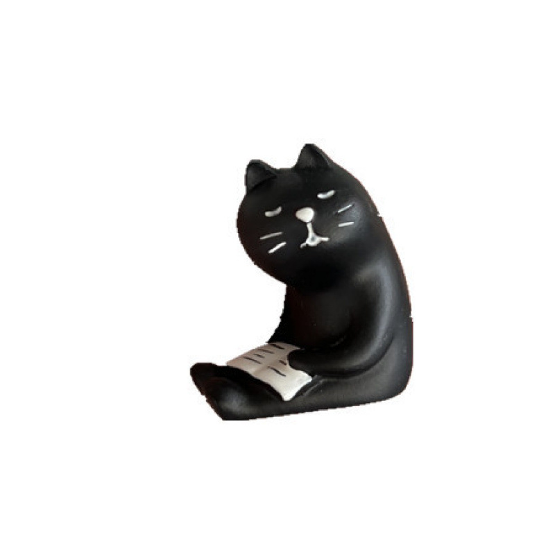 책 검은 고양이