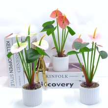 ���滨7�^�t���辰 9�^�t���辰  �ٻ��R��ɏ�t���辰 ����С����