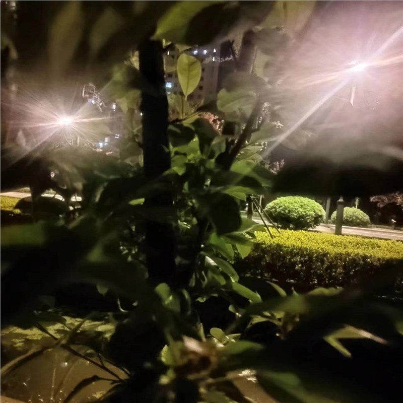 무작위로 배포되는 타액 수건