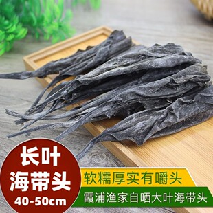 �L�����^��؛�ؼ�����ϼ���خa�Ӻ񺣎����躣���z�������Ҝ��Օ�