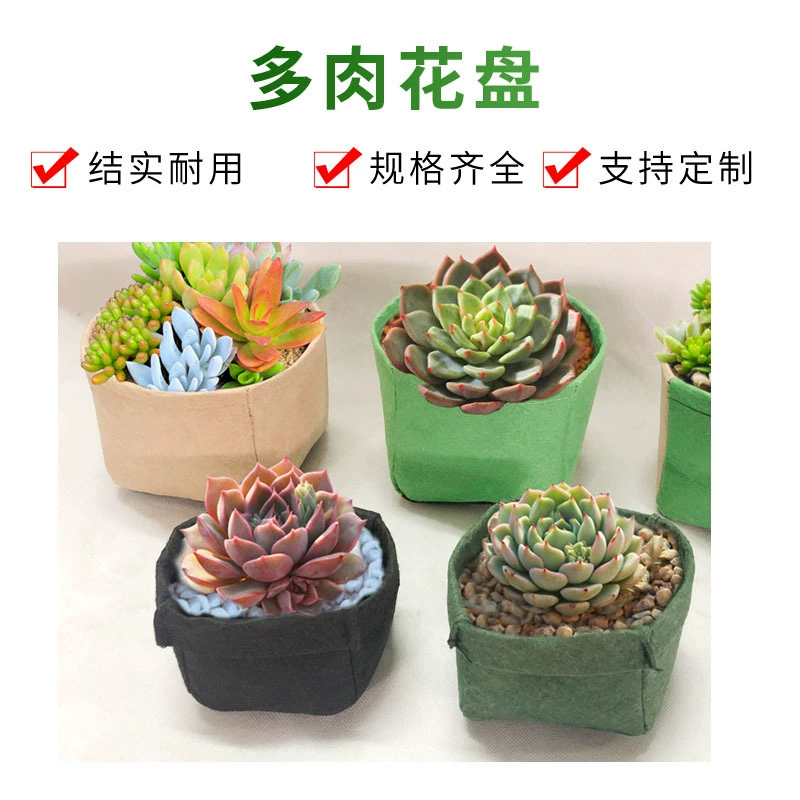 Цветочная тарелка из мяса, войлочная настольная цветочная корзина, мясная цветочная корзина, креативный цветочный горшок в корейском стиле