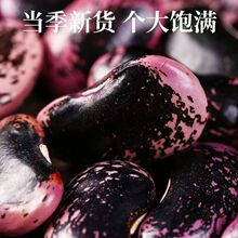 大肾豆牛眼豆农家黑花芸豆黑豆花豆腰豆黑芸豆大云豆新鲜干货豆类