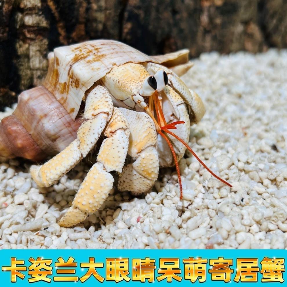 208b9922-fed6-47f6-9c90-b496fb687ee4.jpe