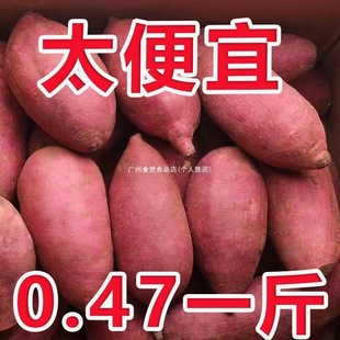 ���r�ع�С��ɽ��ɳ�؟��������tƤ�S�ļt���t�������r���ԷN����
