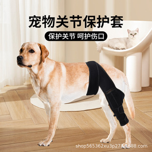 �羳�����P���o�߹������۹̶��oϥ�����o������С�͹��g���o��