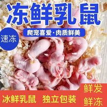 ����������߱�����˪����С�����������������