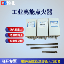 ���I偠t�����c����20J���������c���b��ȼ��ȼ��ȼ���C����ʹ��