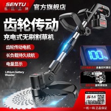 �¹��綯��ݻ�С�ͼ��ó��ݻ����ʽ��ƺ��ũ��﮵�๦����̫��