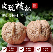 �������Ұ���F�����ɼԪ���o���䌦���Ԫ��������^�������l