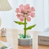 Carnations [Color Box]